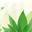 Eco